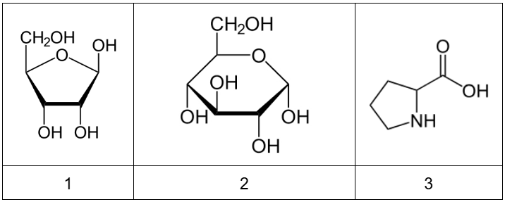 ������������ ������