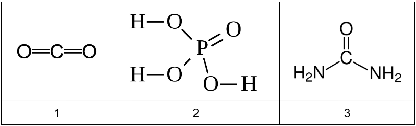 ������������ ������