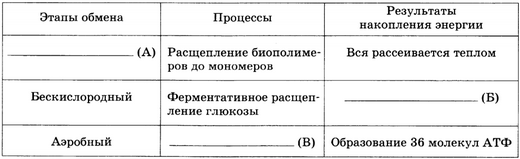 Какой продукт образуется в результате гликолиза и поступает в митохондрию thumbnail